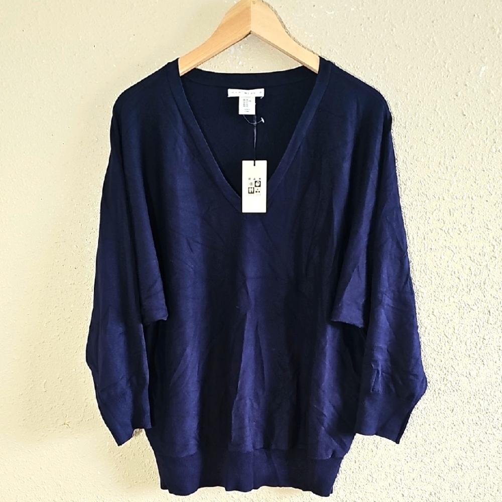 Max Studio V-Neck Sweater.
